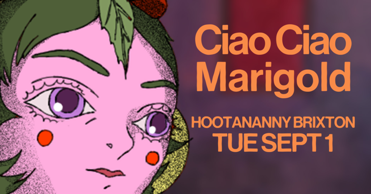 Ciao Ciao Marigold Hootananny Brixton Live Music Venue & Club, London UK